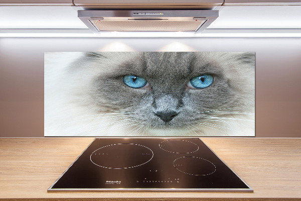 Panou sticlă decorativa bucătărie Cat ochi albaștri