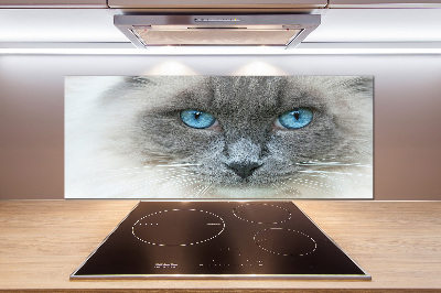 Panou sticlă decorativa bucătărie Cat ochi albaștri