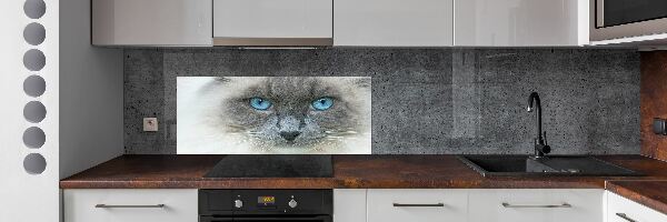 Panou sticlă decorativa bucătărie Cat ochi albaștri