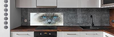 Panou sticlă decorativa bucătărie Cat ochi albaștri