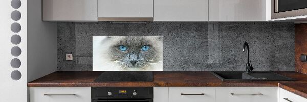 Panou sticlă decorativa bucătărie Cat ochi albaștri
