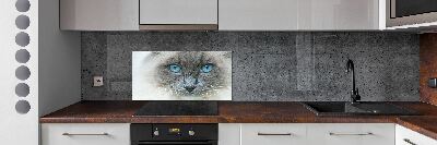 Panou sticlă decorativa bucătărie Cat ochi albaștri