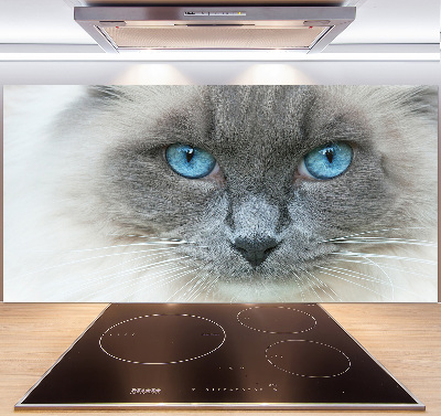 Panou sticlă decorativa bucătărie Cat ochi albaștri
