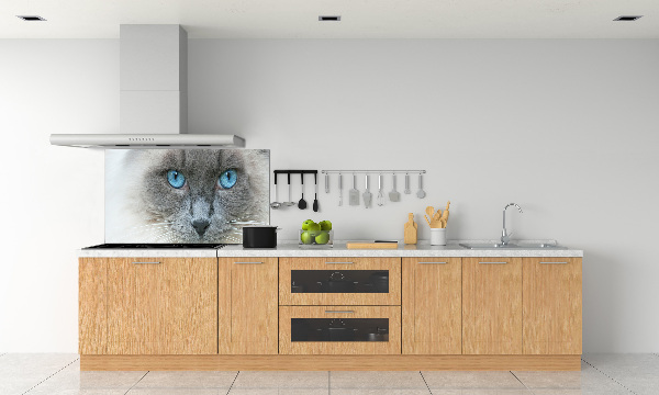Panou sticlă decorativa bucătărie Cat ochi albaștri