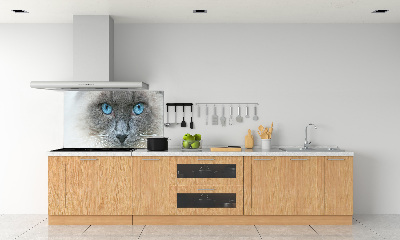 Panou sticlă decorativa bucătărie Cat ochi albaștri