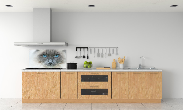 Panou sticlă decorativa bucătărie Cat ochi albaștri