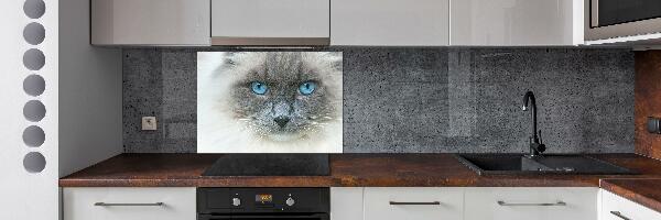 Panou sticlă decorativa bucătărie Cat ochi albaștri