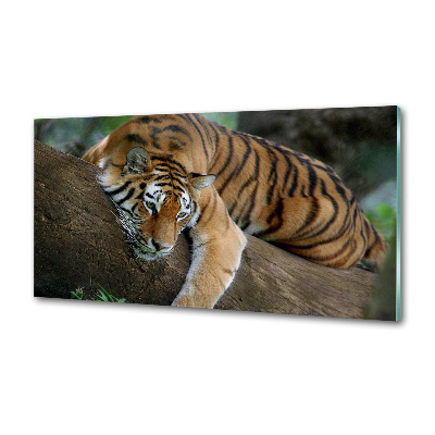 Sticlă bucătărie Tiger pe un copac
