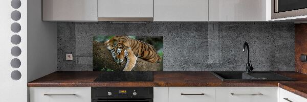 Sticlă bucătărie Tiger pe un copac