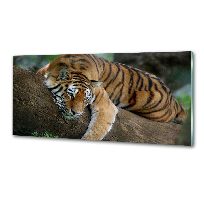 Sticlă bucătărie Tiger pe un copac