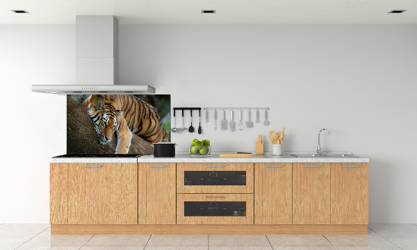 Sticlă bucătărie Tiger pe un copac