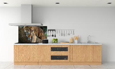 Sticlă bucătărie Tiger pe un copac