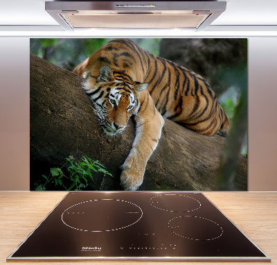 Sticlă bucătărie Tiger pe un copac