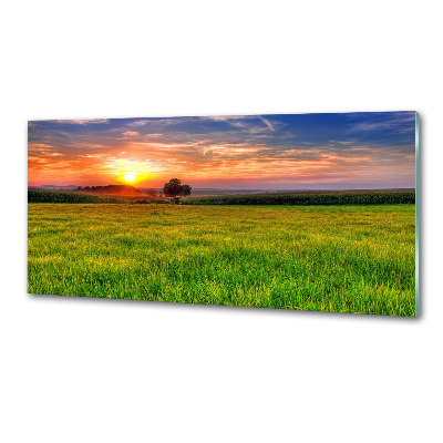 Panou sticla securizata bucatarie Sunset Meadow