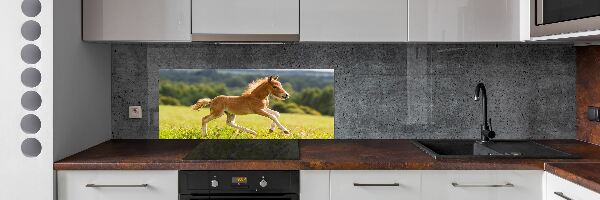 Sticlă bucătărie Gallop mânz