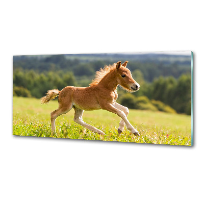 Sticlă bucătărie Gallop mânz