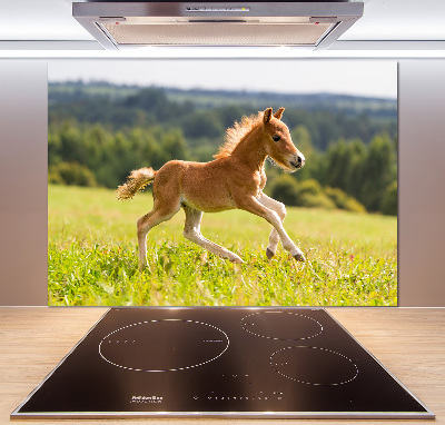 Sticlă bucătărie Gallop mânz