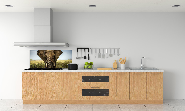 Sticlă bucătărie Elephant pe savana