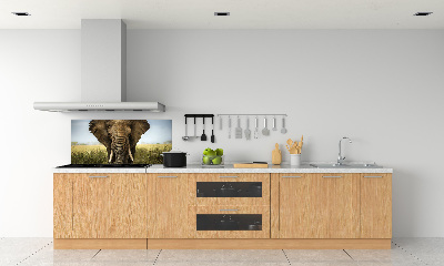 Sticlă bucătărie Elephant pe savana