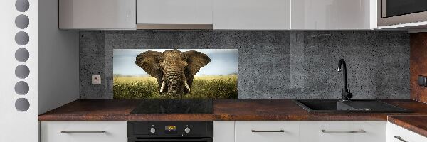 Sticlă bucătărie Elephant pe savana