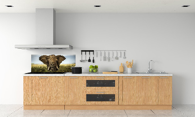 Sticlă bucătărie Elephant pe savana