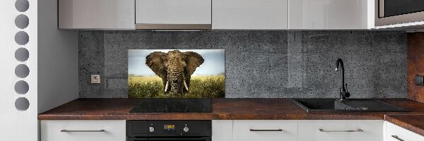 Sticlă bucătărie Elephant pe savana
