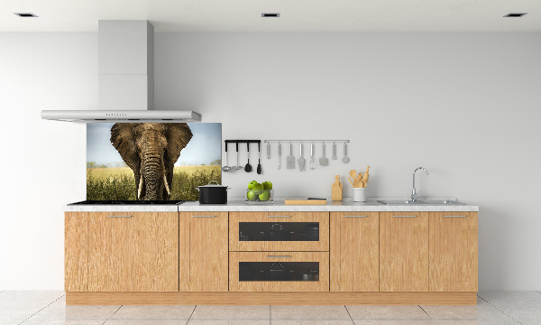 Sticlă bucătărie Elephant pe savana
