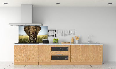 Sticlă bucătărie Elephant pe savana