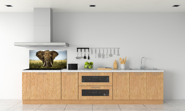 Sticlă bucătărie Elephant pe savana