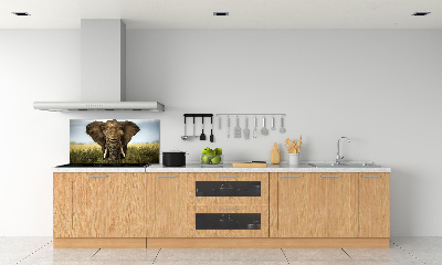 Sticlă bucătărie Elephant pe savana
