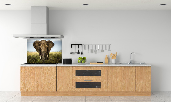 Sticlă bucătărie Elephant pe savana