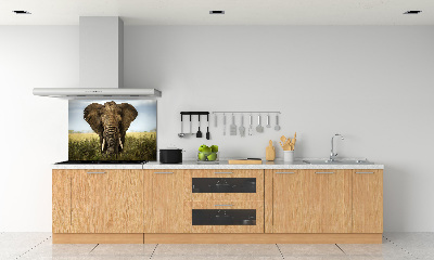 Sticlă bucătărie Elephant pe savana