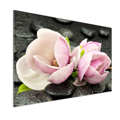 Panou sticla securizata bucatarie Magnolia Zen Piatra