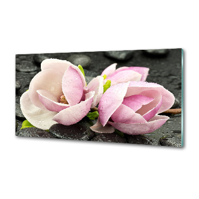 Panou sticla securizata bucatarie Magnolia Zen Piatra