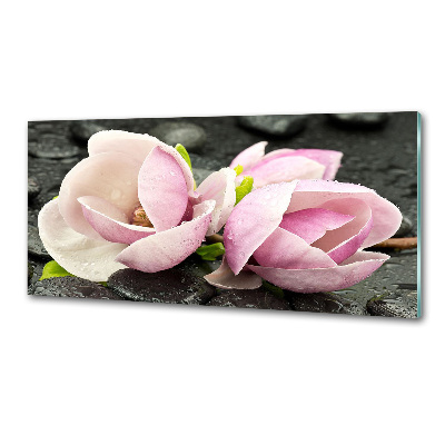 Panou sticla securizata bucatarie Magnolia Zen Piatra
