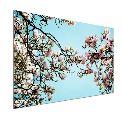 Sticlă pentru bucătărie flori magnolia