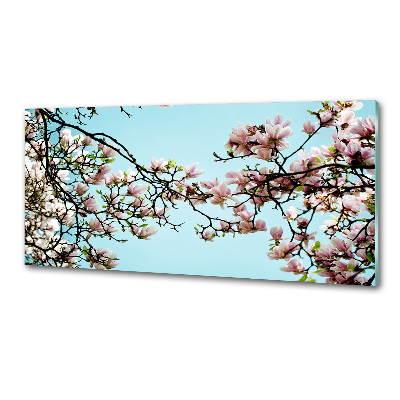 Sticlă pentru bucătărie flori magnolia