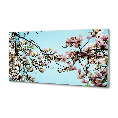 Sticlă pentru bucătărie flori magnolia