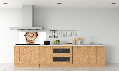 Sticlă pentru bucătărie Pisică