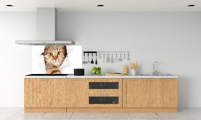 Sticlă pentru bucătărie Pisică