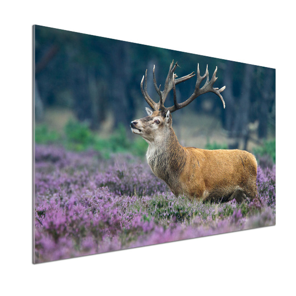Panou de bucătărie Deer de lavandă