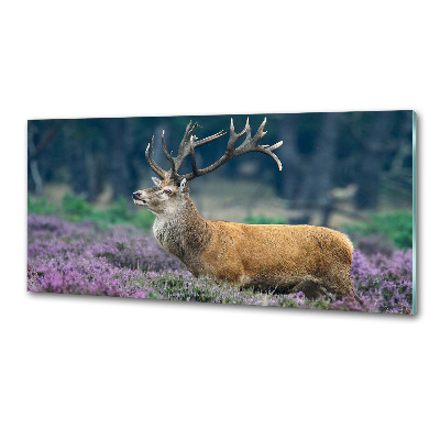 Panou de bucătărie Deer de lavandă