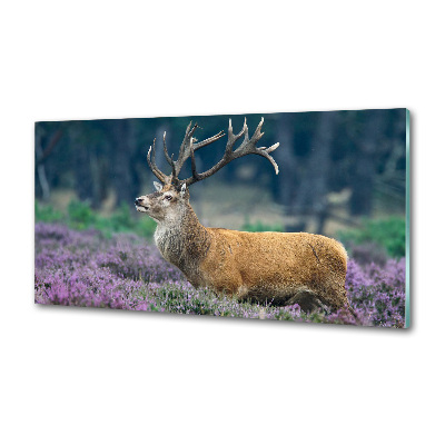 Panou de bucătărie Deer de lavandă