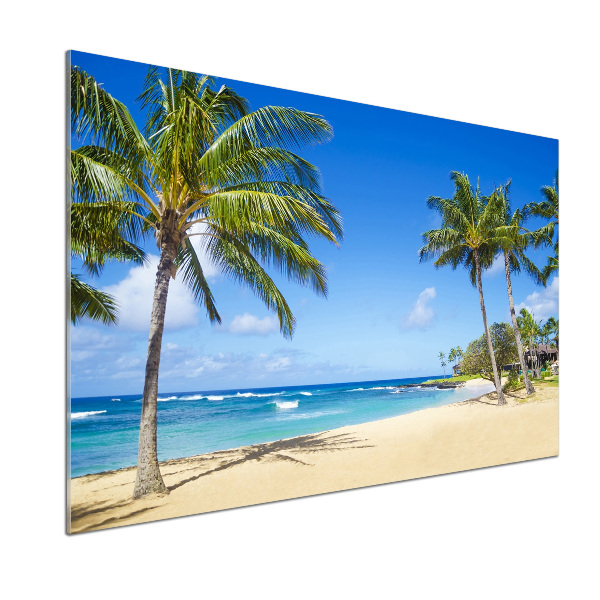 Sticlă pentru bucătărie plaja tropicala