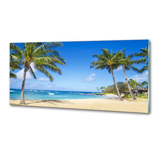 Sticlă pentru bucătărie plaja tropicala