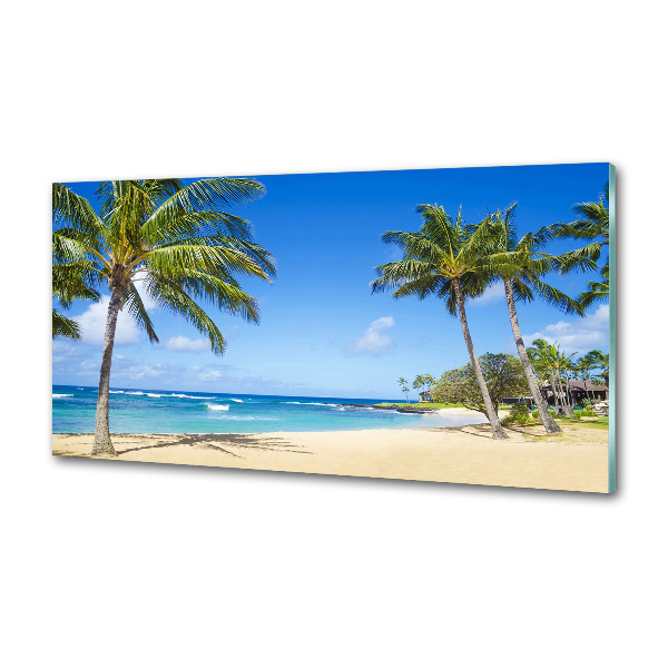 Sticlă pentru bucătărie plaja tropicala