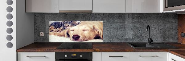 Panou sticlă decorativa bucătărie Puppy și pisici