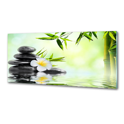 Sticlă bucătărie Plumeria și bambus