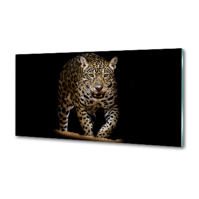 Panou sticlă decorativa bucătărie Jaguar