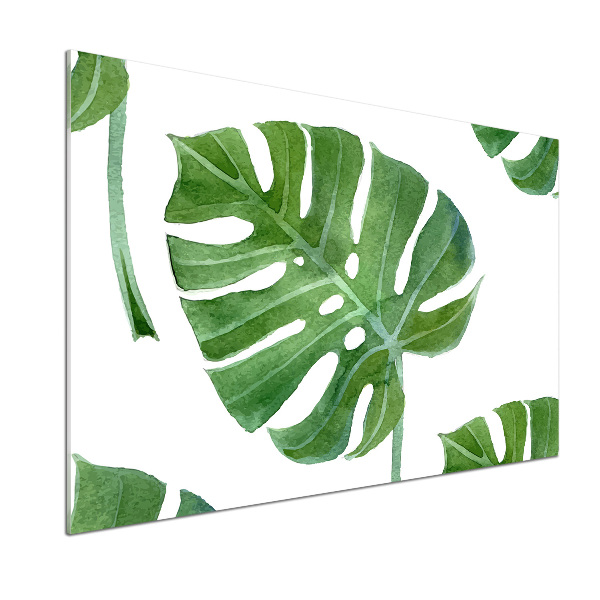 Sticlă printata bucătărie Monstera